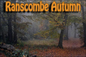 Autumn Ranscombe Challenge Winter