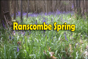 Ranscombe Challenge/Rachels Ranscombe Ramble